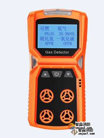 陕西可燃性气体检测仪